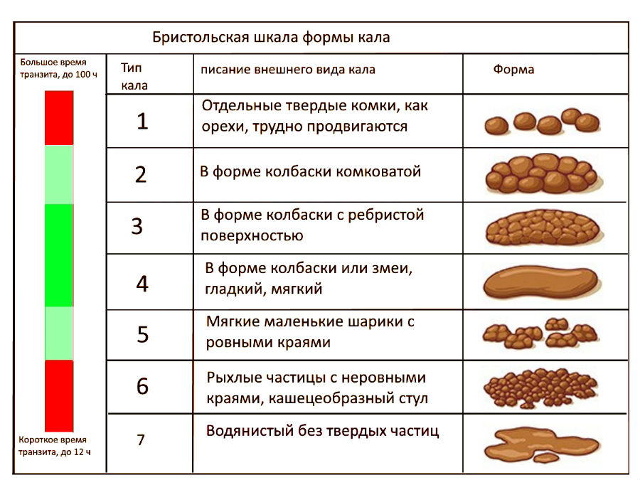 Кал в норме фото